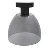 Lámpara  de techo APP1303-1C Black