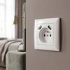 Single grounded socket with frame + USB-A USB-C OSTE JNH004-G White