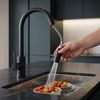 Robinet de cuisine REA Ontario Black