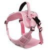 Поводок и шлейки для собаки PJ-060 pink L