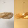 Lampe suspendue NATURAL APP880-1CP