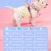Leash and harness for a dog PJ-064 Pink XL