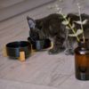 Napf für Hund/Katze/Haustier 331579
