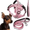 Връзка и каишка за куче PJ-052 pink S