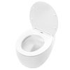WC Schüssel Randlos Rea Lars
