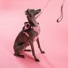 Връзка и каишка за куче PJ-056 pink M