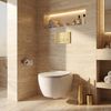 Concealed WC Frame Set Slim 024N with Gold HD Button