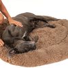 Lit pour animaux PJ-012 BROWN XL