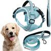 Leash and harness for a dog PJ-066 Blue XL