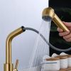 Kitchen faucet REA Troy brushed gold