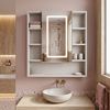LED-Spiegelschrank Rea Luna 70x80cm