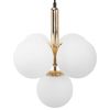 Ceiling lamp APP1574-5CP Gold