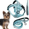 Leash and harness for a dog PJ-050 blue XS
