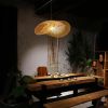 Lampe suspendue NATURAL APP880-1CP