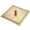 Čtvercová hlavová sprcha REA JS-P015BG 25cm Brush Gold
