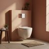 Concealed WC Frame Set Slim 024N with Chrome HD Button