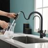 Kitchen faucet Eco Fresh black mat