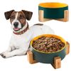 Gamelle pour chien/chat/animal domestique YELLOW GREEN 331578