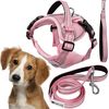 Leash and harness for a dog PJ-056 pink M
