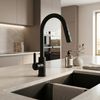 Robinet de cuisine REA Ontario Black