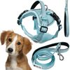 Leash and harness for a dog PJ-058 Blue M
