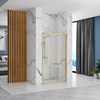 Shower doors Rea Alex 120 Gold Brush