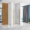 Shower door REA Rapid Swing Brush Gold 80