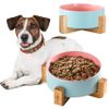 PET FOOD AND WATER BOWL PINK BLUE 331578
