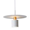 Šviestuvas lubinis APP1146-1CP White Rose Gold