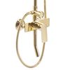Shower set Rea Maximus Gold
