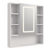 LED-Spiegelschrank Rea Luna 70x80cm