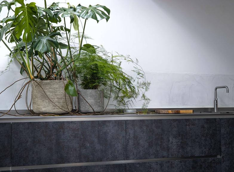 Flores para casa de banho sem janela: uma seleção das melhores opções