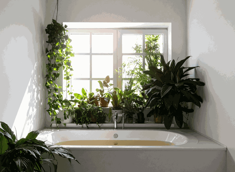 Como decorar uma casa de banho estreita com janela?