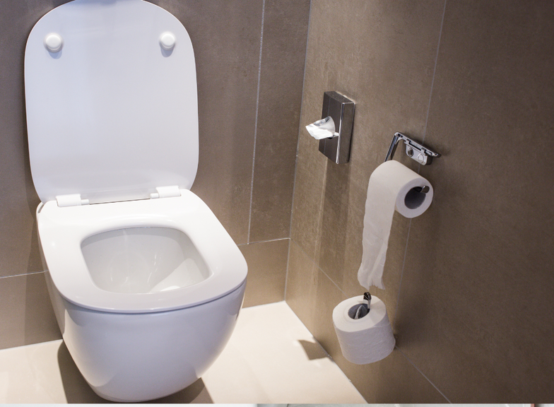 WC sem rebordo – vantagens e desvantagens