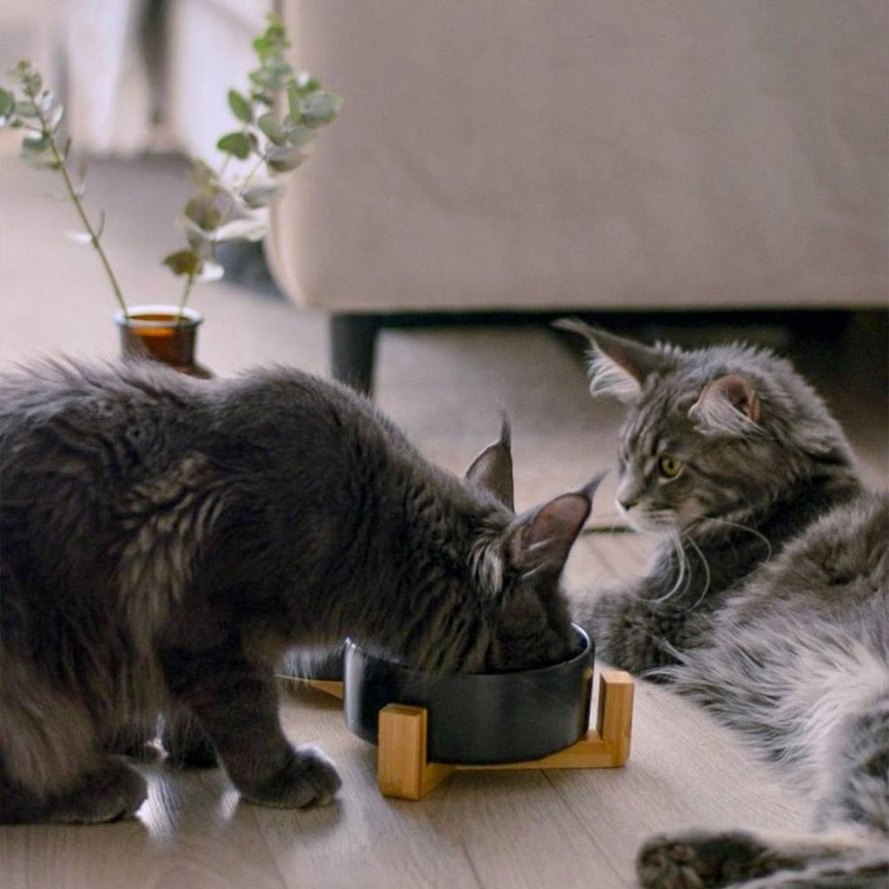 MISKA NA KARMĘ I WODĘ DLA ZWIERZĄT BIAŁA 331579