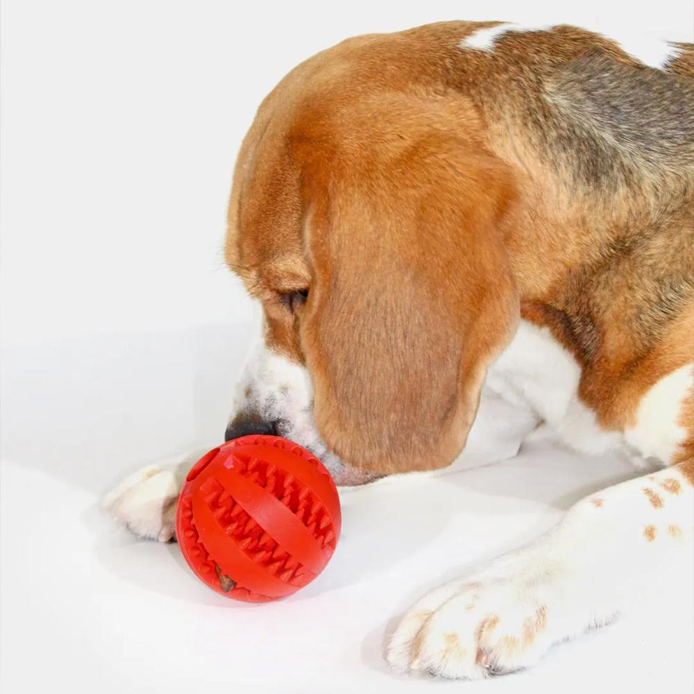 Piłka gryzak dla psa Czerwona PJ-090