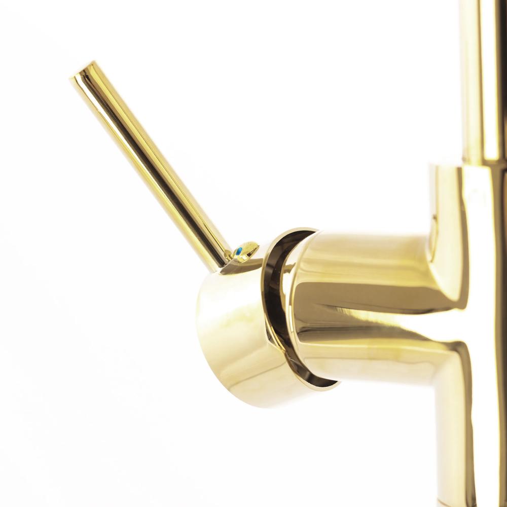 Rea Lungo Ortis vannisegisti kuldne