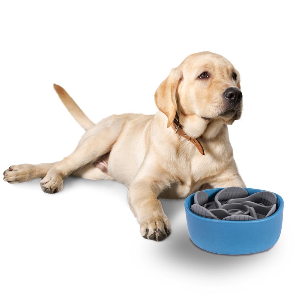 Spowalniająca jedzenie wkładka do miski dla psa PJ-031