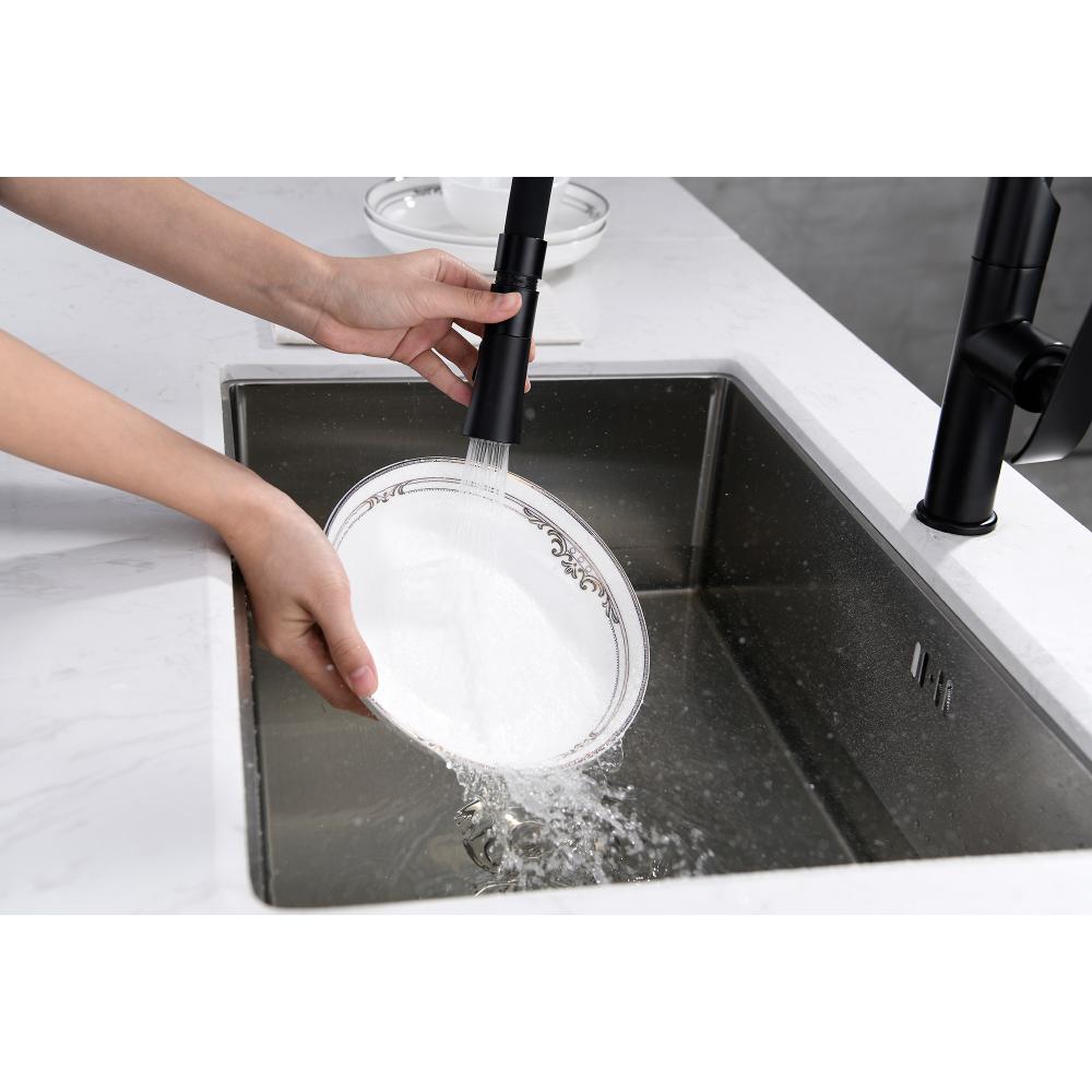 Robinet de cuisine Rea Castor Black Mat