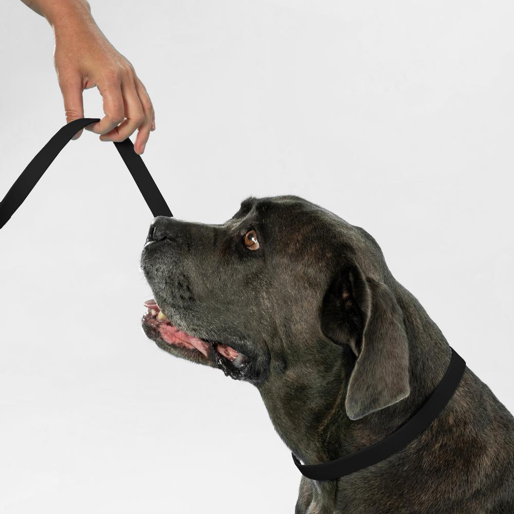 Smycz i obroża dla psa PJ-067 czarna S