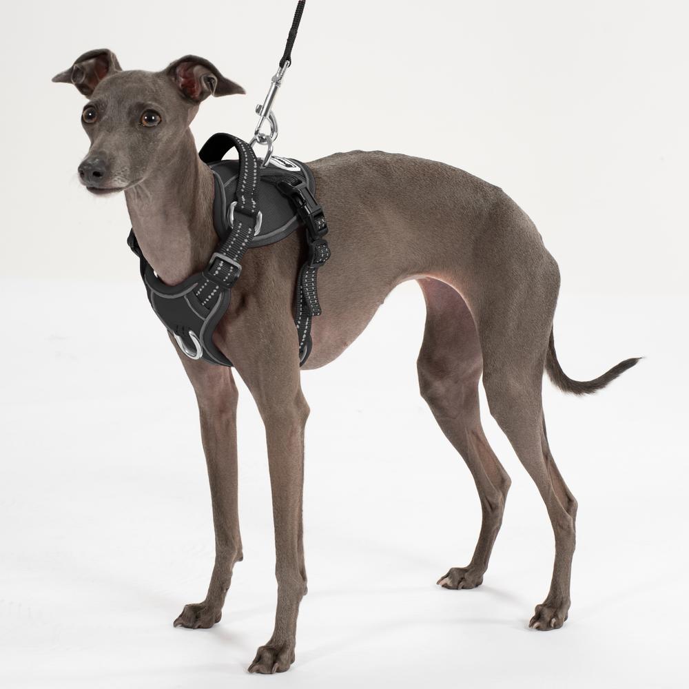 Smycz i szelki dla psa PJ-051 czarna S