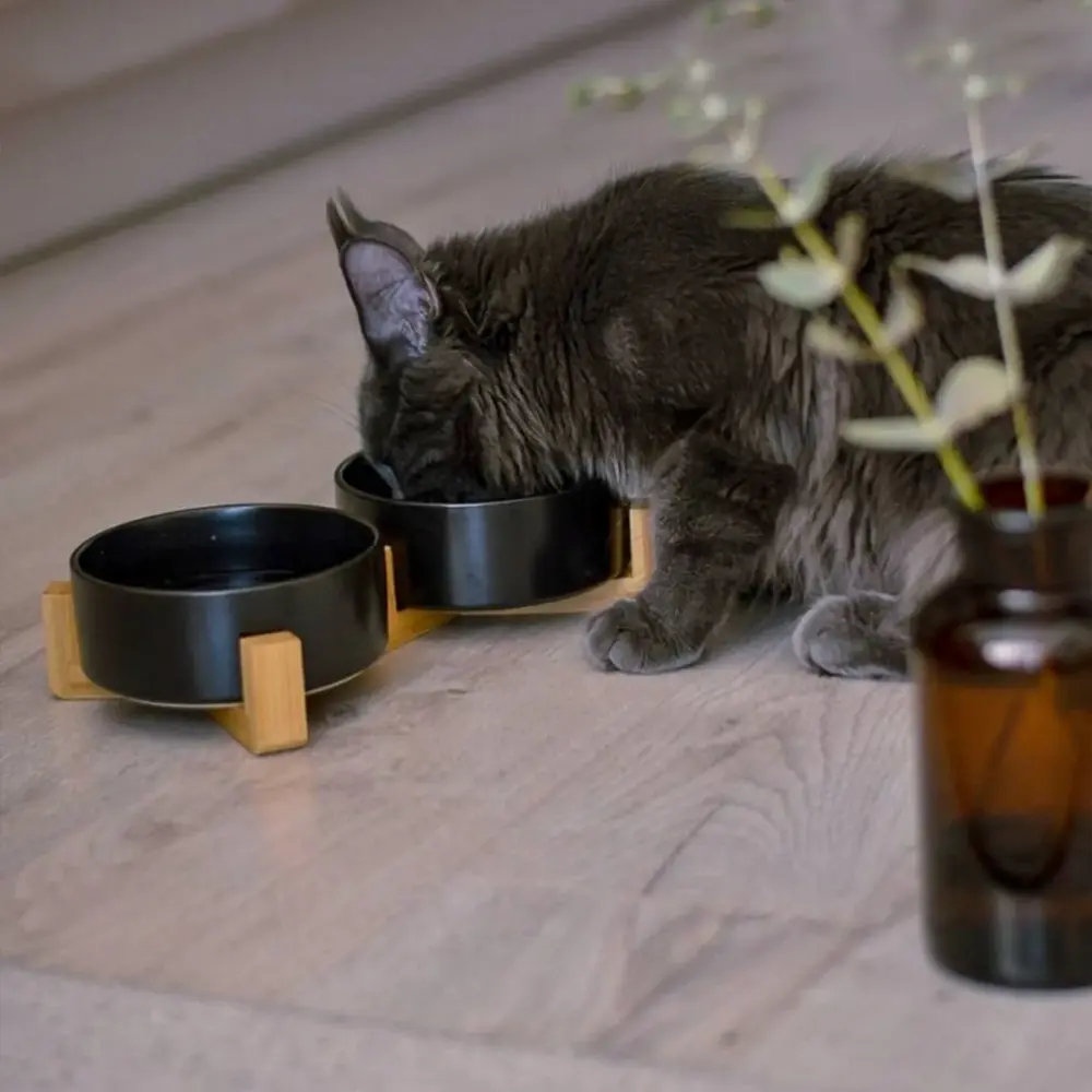 MISKA DLA ZWIERZĄT CZARNA 331579 + Pokrowiec na siedzenia