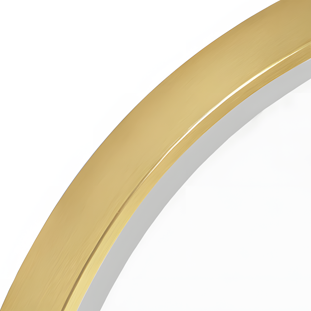 Mirror LED OVL 50x100cm Gold