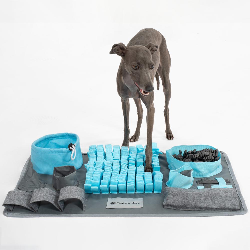 MATA WĘCHOWA DLA PSA PJ-029