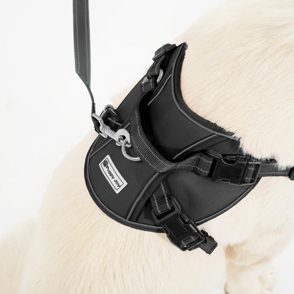 Smycz i szelki dla psa PJ-063 black XL