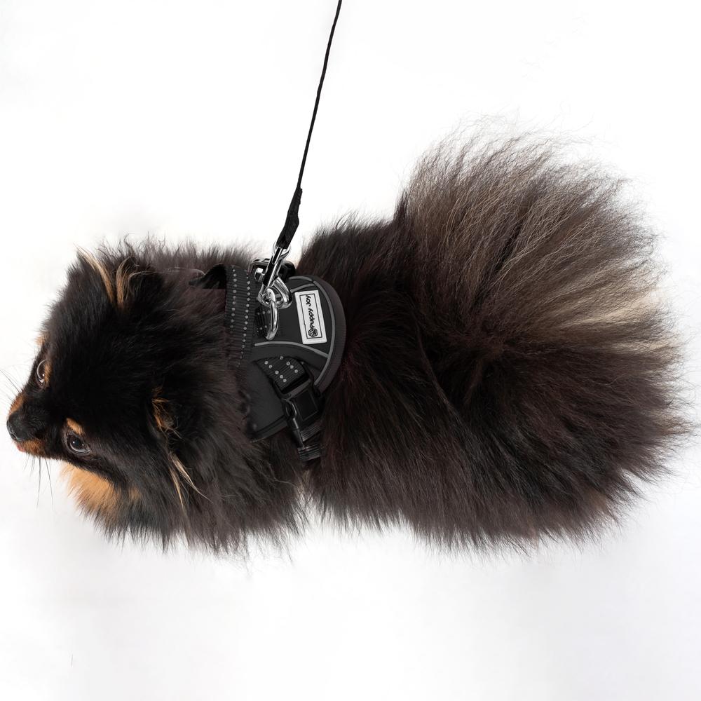 Smycz i szelki dla psa PJ-047 czarna XS