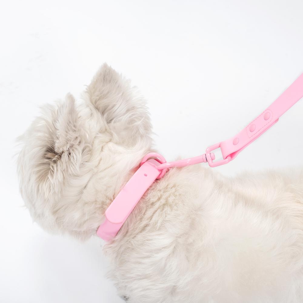 Smycz i obroża dla psa PJ-068 różowa S