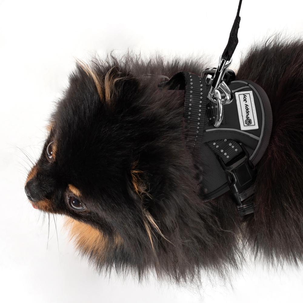 Smycz i szelki dla psa PJ-047 czarna XS