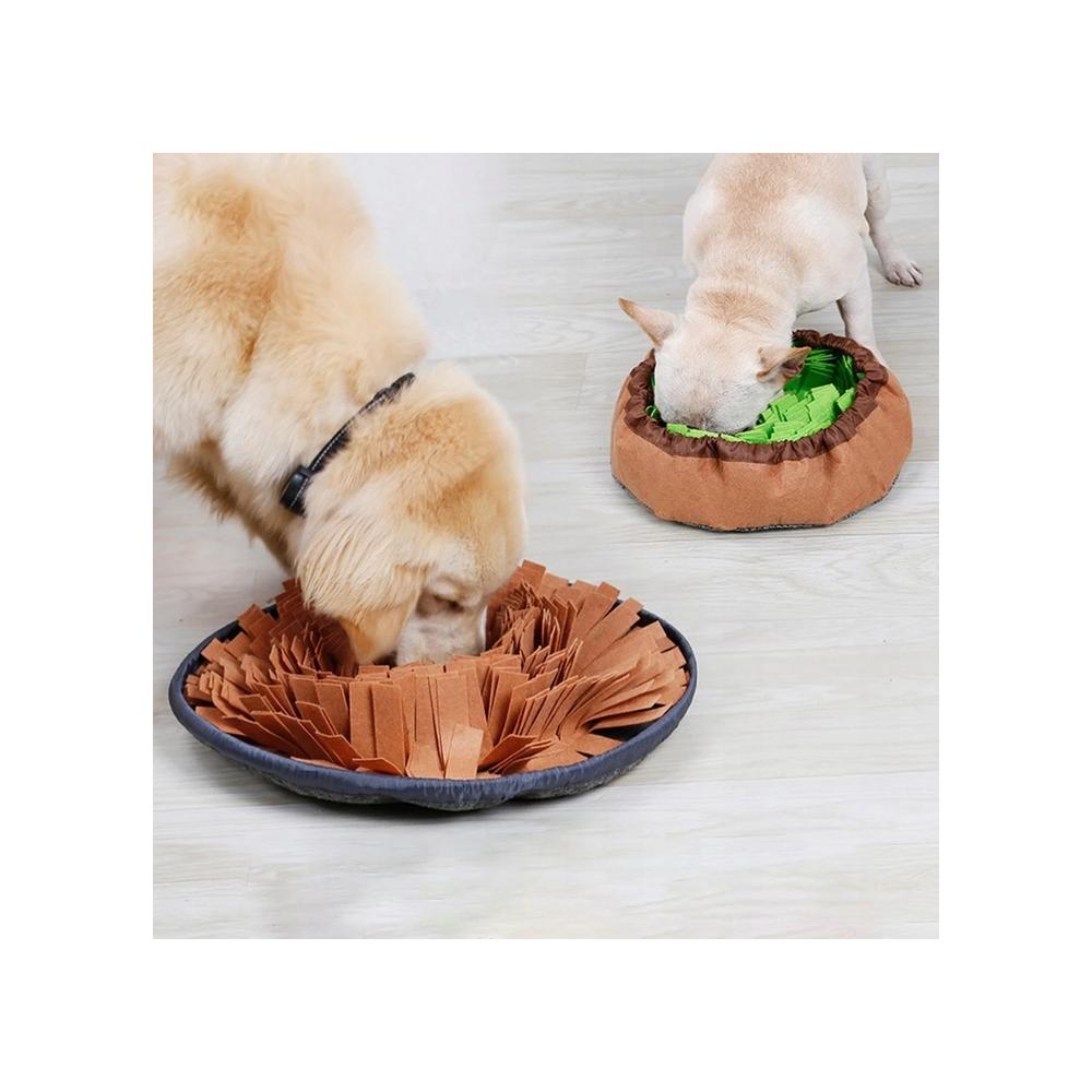 MATA WĘCHOWA DLA PSA PJ-095