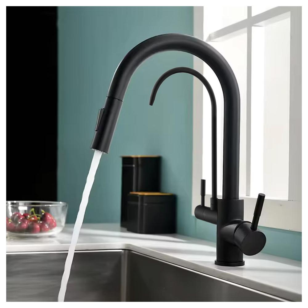 Rubinetto da cucina Rea Eco Fresh Black Mat